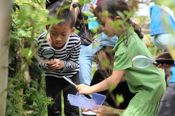 孩子们在华侨城湿地自然学校参加自然课程