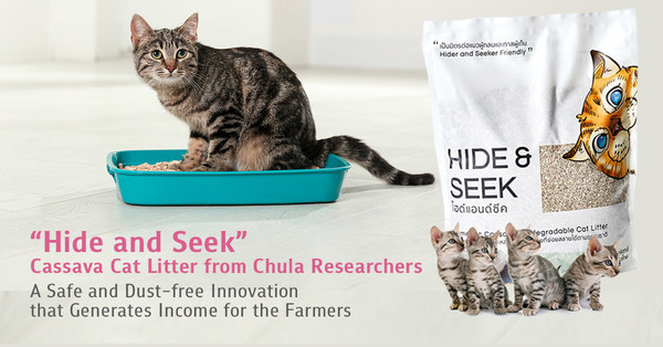 "Hide and Seek" Cassava Cat Litter from Chula Researchers: A Safe and Dust-free Innovation that Generates Income for the Farmers