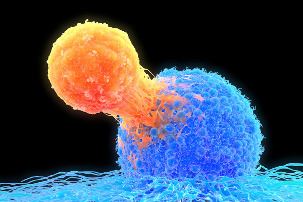 턴 바이오테크놀로지스(Turn Biotechnologies)가 치료한 T 세포에서 암 사멸 효과 보여