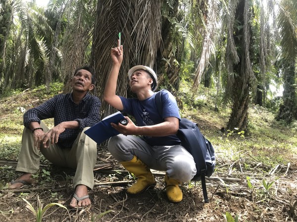Monitoring & evaluation is key to ensuring the adoption of sustainable practices. Sawit Terampil programme provides two years of mentorship to the independent palm oil smallholders joining the programme.
