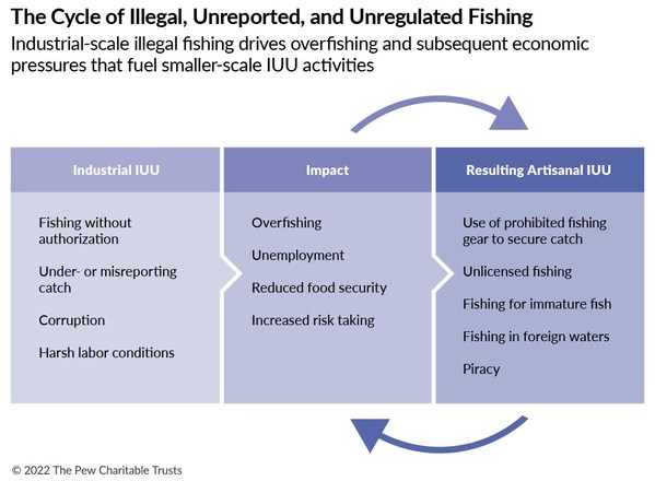 Industrial-scale illegal fishing drives overfishing and subsequent economic pressures that fuel smaller-scale illegal, unreported, and unregulated activities.