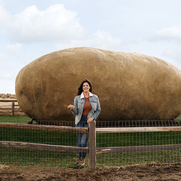 爱彼迎超赞房东Kristie Wolfe和她的6吨土豆屋