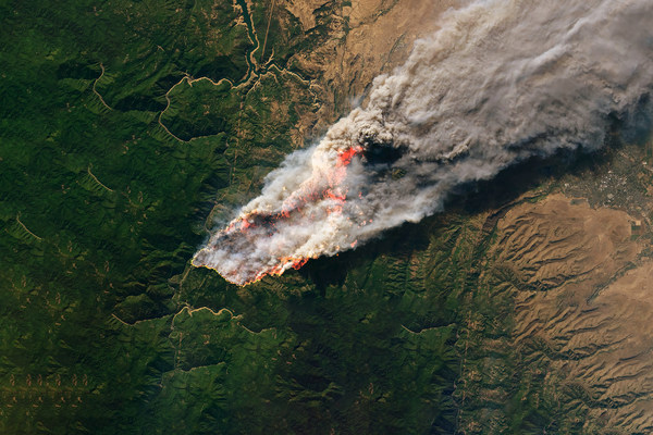 森林火灾的增加成为全球碳市场的永久性风险
