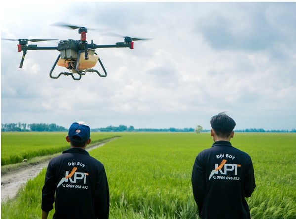 Pilot drone berdiri di samping sawah ketika menerbangkan drone untuk
penyemprotan tanama