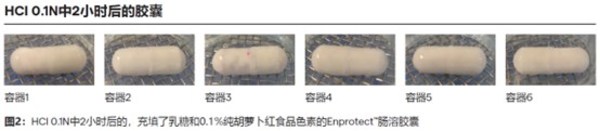 12月27日 龙沙推出新型肠溶胶囊 2