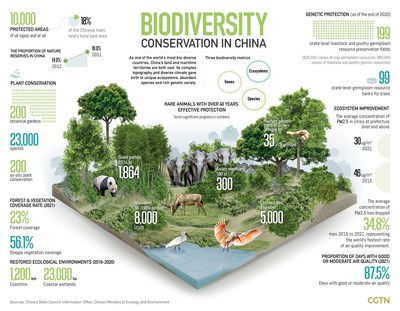 CGTN: Tiongkok Terus Promosikan Pelaksanaan "post-2020 Biodiversity ...