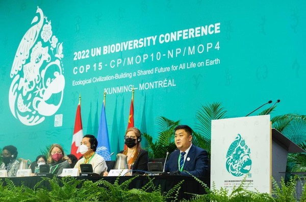 Yili Group Presents Its Biodiversity Conservation Efforts at the UN Biodiversity Conference