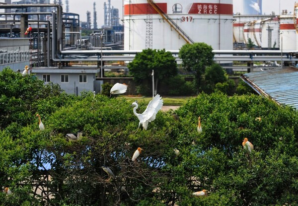 中国石油化工（シノペック）、「シノペック・グリーン&低炭素発展白書2022」を発行
