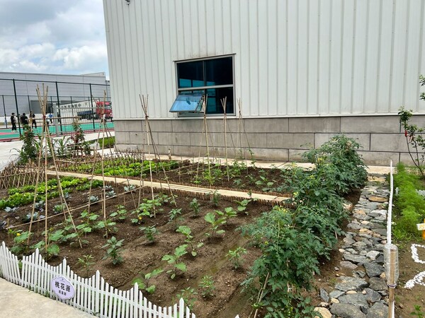 德科斯米尔鞍山绿色工厂菜园子项目