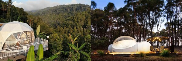 （左：【印度尼西亚】森林圆顶屋；右：【澳大利亚】透明圆顶屋）