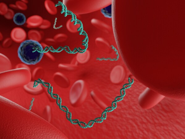 Ảnh 1. Minh họa DNA tự do trong máu (Shutterstock)