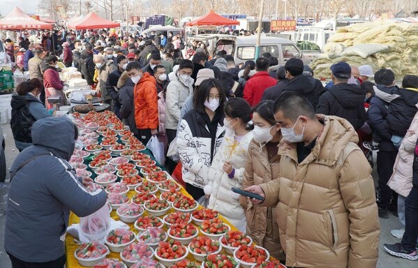 People buy strawberries in a market in Jinan, east China's Shandong Province, Jan. 2, 2023. (Xinhua/Xu Suhui)