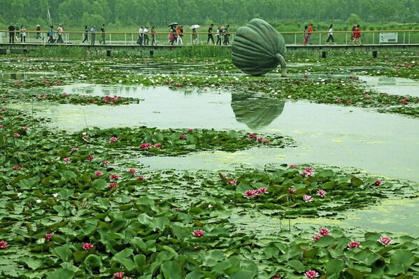 Xinhua Silk Road: E. China's wetland park welcomes visitors with blooming flowers