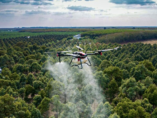 Drone chuyên dụng cho nông nghiệp XAG P100 đang phun thuốc cho vườn sầu riêng