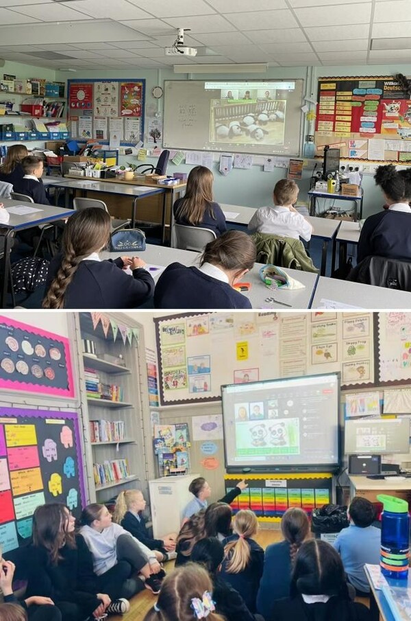 Students in Scotland and Oxford watching livestream of giant panda