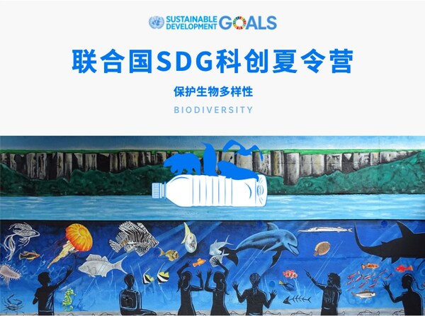 2023联合国SDG科创夏令营 保护生物多样性