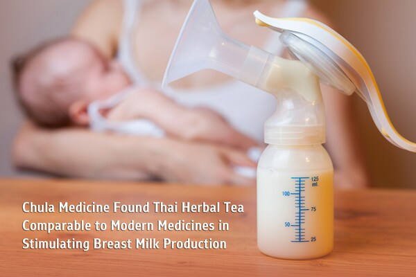 Chula Medicine Observed Thai Natural Tea Equivalent to Modern-day Medicines in Stimulating Breast Milk Manufacturing