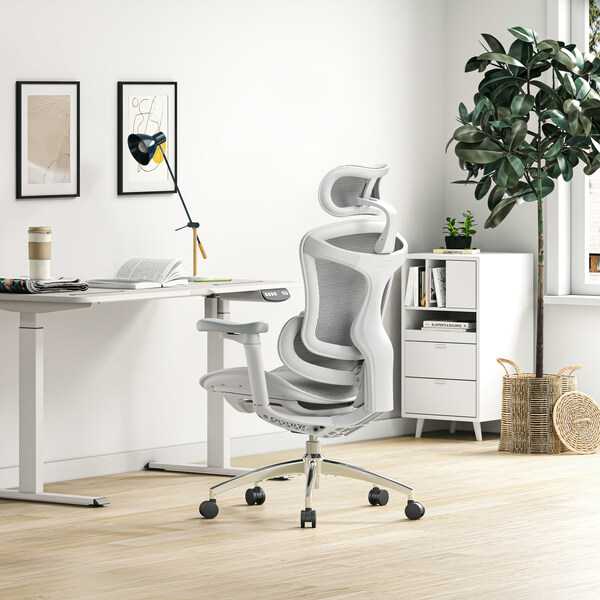 SIHOO Doro C300 comfortable ergonomic office chair began with the pursuit of dynamic lumbar & back support for 8 hours of sedentary care.