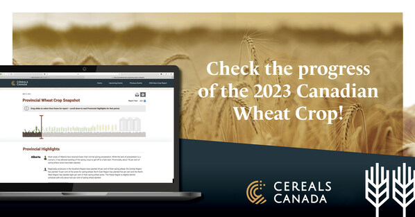 市場情報和貿易政策主管 Leif Carlson，以及市場及貿易專家 Matilda van Aggelen 介紹《2023 年生長季節進度報告》。報告可在 cerealscanada.ca/growing-season-progress 取得。請前往 cerealscanada.ca 參閱《生長季節進度報告》，並在 2023 年小麥作物生長期間不時回來查看，以獲取重要更新。