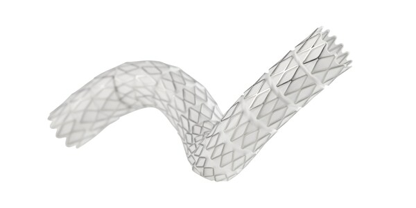 GORE INITIATES STUDY TO COMPARE THE GORE® VIABAHN® VBX BALLOON EXPANDABLE ENDOPROSTHESIS TO BARE METAL STENTS