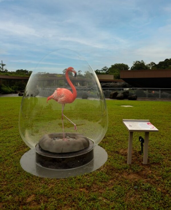 ボストン美術館とARTiSTORYが没入型の屋外インスタレーションを発表。2023年5月19日、シンガポールのマンダイ野生動物保護区で「ボストン美術館×オーデュボンで空を飛行」を開催