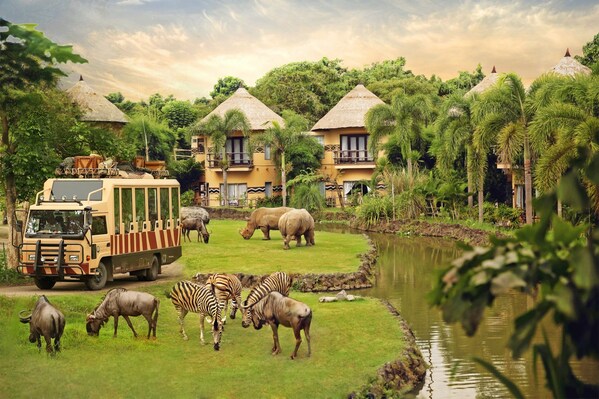 Unleash the magic of Bali Safari on your school holiday! Immerse yourself in the wonders of wildlife, thrilling shows, and educational programs. Experience aquatic fun, mesmerizing Night Safari, and create lifelong memories. Plan your adventure now at www.balisafarimarinepark.com.
