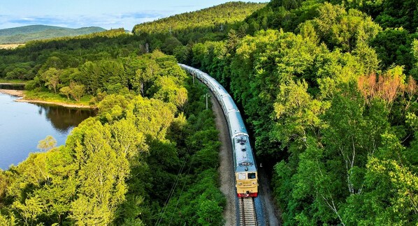 Forest train blazes new trail for tourism in northeast China.