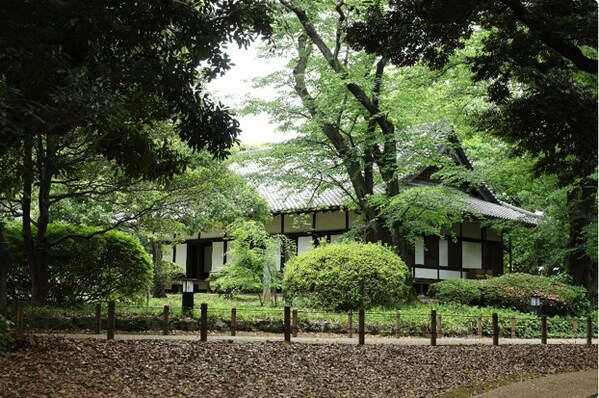 在一座拥有270年历史的日式房屋中体验各种日本文化