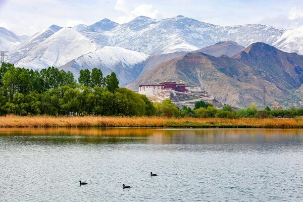 This photo taken in May shows the Lhalu wetland in Lhasa, with the Potala Palace as the backdrop. Tibet autonomous region has impressed people from home and abroad with its pristine ecological environment and colorful ethnic culture. Jiang Fan / Xinhua