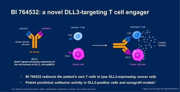 勃林格殷格翰小细胞肺癌新药DLL3/CD3双抗II期临床试验在中国获批