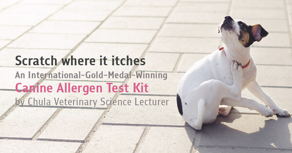 Scratch where it itches - An International-Gold-Medal-Winning Canine Allergen Test Kit by Chula Veterinary Science Lecturer