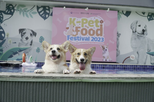A weekend full of fun and joy to all dogs and pet owners at K-Pet Food Festival 2023