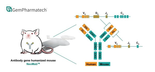 Introducing NeoMab™: GemPharmatech's Innovative Antibody Gene Humanized Mouse Model