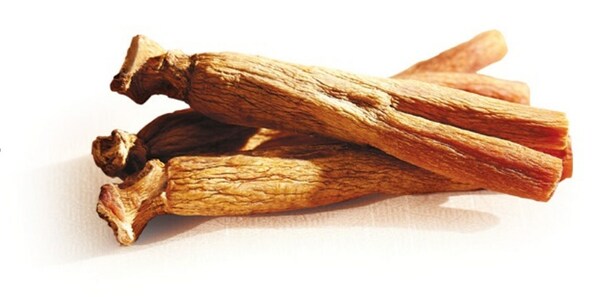 The Korean Society of Ginseng confirms the effects of consuming red ginseng in the prevention and improvement of dementia