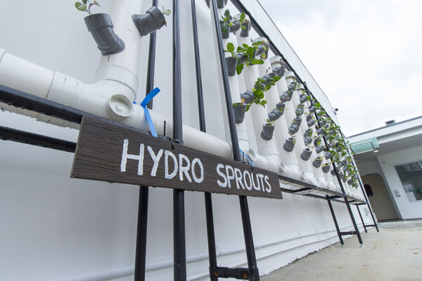 The Hydro Vertical Garden forms part of the farm-to-plate experience for children.