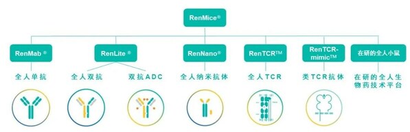 RenMice系列小鼠及應用其構建的全人抗體/TCR技術平臺