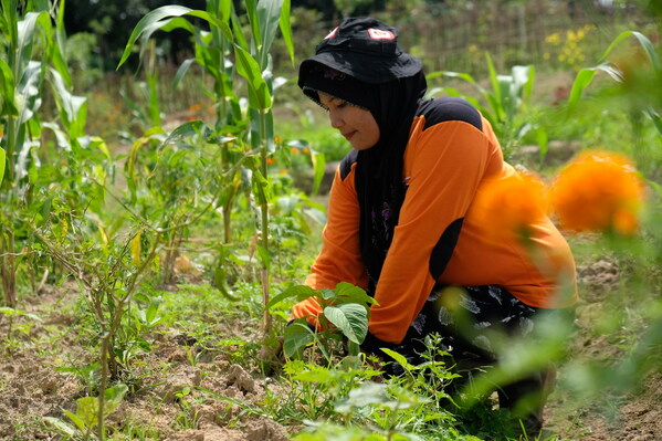 A new Community Learning Centre in Riau will provide education on integrated sustainable farming to encourage community entrepreneurship