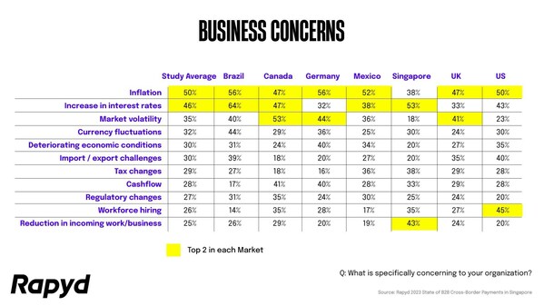 Figure 1: Rapyd: Business Concerns