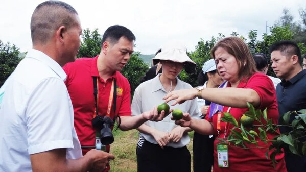 The photo shows the Marketing Director (lady in red on the right) of Raspina Tropical Fruits Inc. from the Philippines visiting Wanmao Modern Orah Mandarin Base and formalizing a cooperation agreement for orah mandarin procurement.