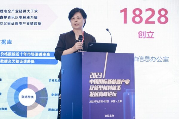 必维受邀出席中国国际新能源产业高峰论坛