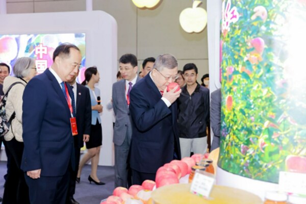 Chongquan, the President of China Society for World Trade Organization Studies, and guests, were appreciating Qixia apples at the Qixia Exhibition Hall.