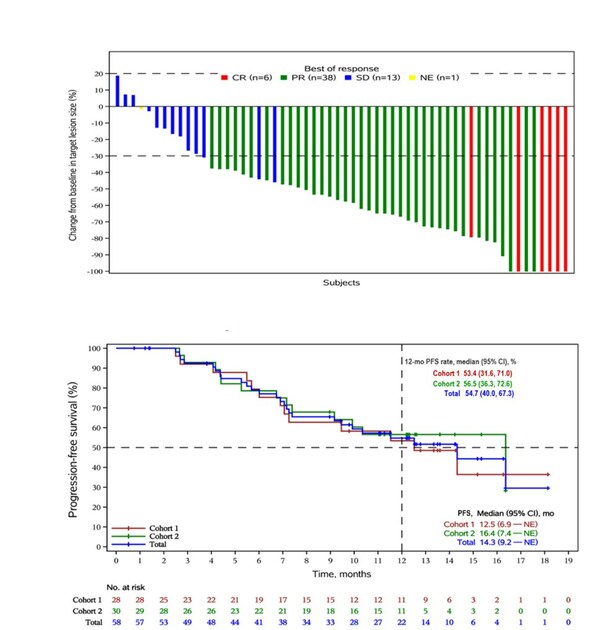 圖2：艾帕洛利托沃瑞利單抗聯合化療加或不加貝伐珠單抗一線治療復發或轉移性宮頸癌的靶病灶最佳緩解百分數（A）和無進展生存期Kaplan-Meier曲線（B）