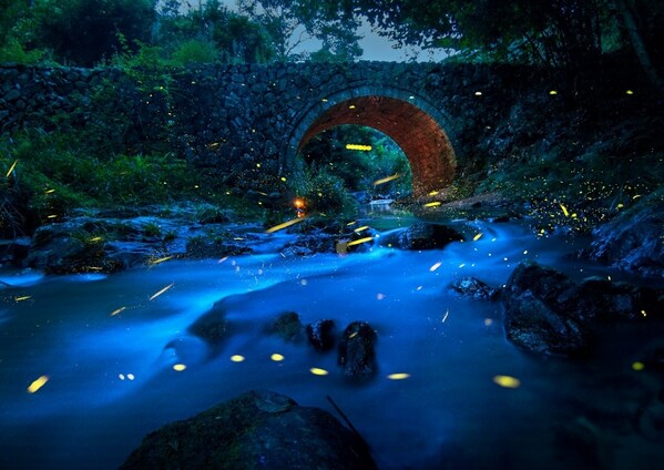 ©张炜（中国）
《古桥夜色》丨HUAWEI P40丨“好影像不怕晚”组别获奖者