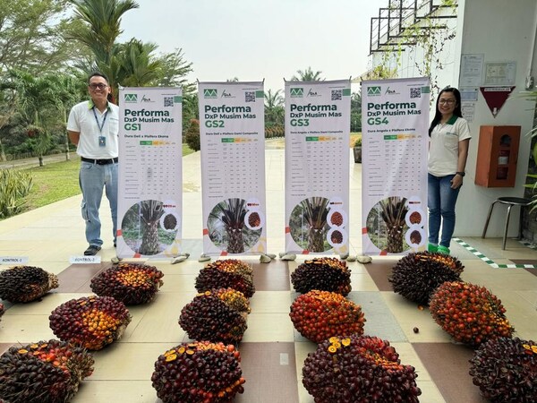 Musim Mas staff at an event to commemorate the launch