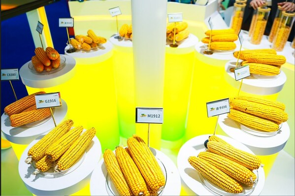 迪卡在进博会现场首发三大玉米新品G1916、M1912和迪卡698