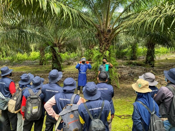 Bunge and Musim Mas Collaborate to Make Palm Value Chain more Sustainable