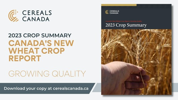 加拿大發布《2023 年全新小麥作物報告》