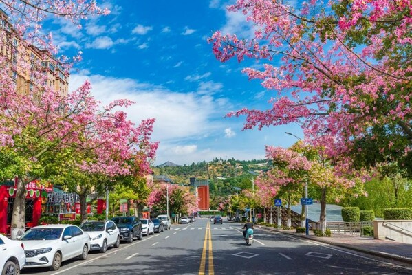 The streets of Panzhihua are adorned with blooming flowers throughout all four seasons.