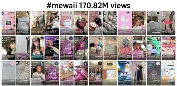 Mewaii by Starpony: Pioneering the Next Wave in the Toy Market