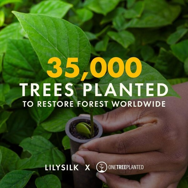 20,000 Trees of Thanks to the Earth: LILYSILK Partners with One Tree Planted for Thanksgiving Reforestation Initiative